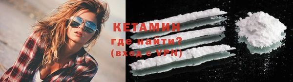 стаф Пересвет