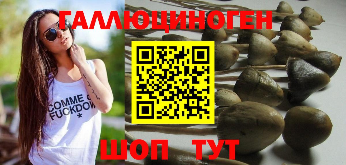 Псилоцибиновые грибы Psilocybe  даркнет сайт  Сальск  Вход с VPN 