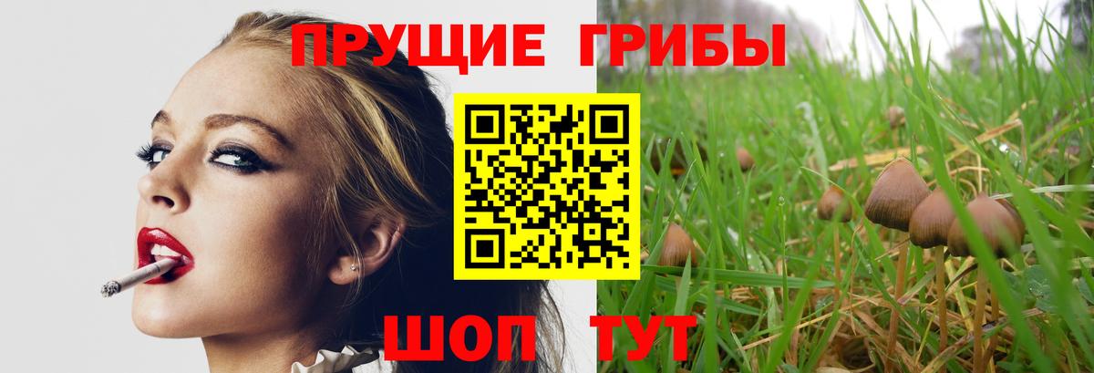 Галлюциногенные грибы ЛСД Сальск
